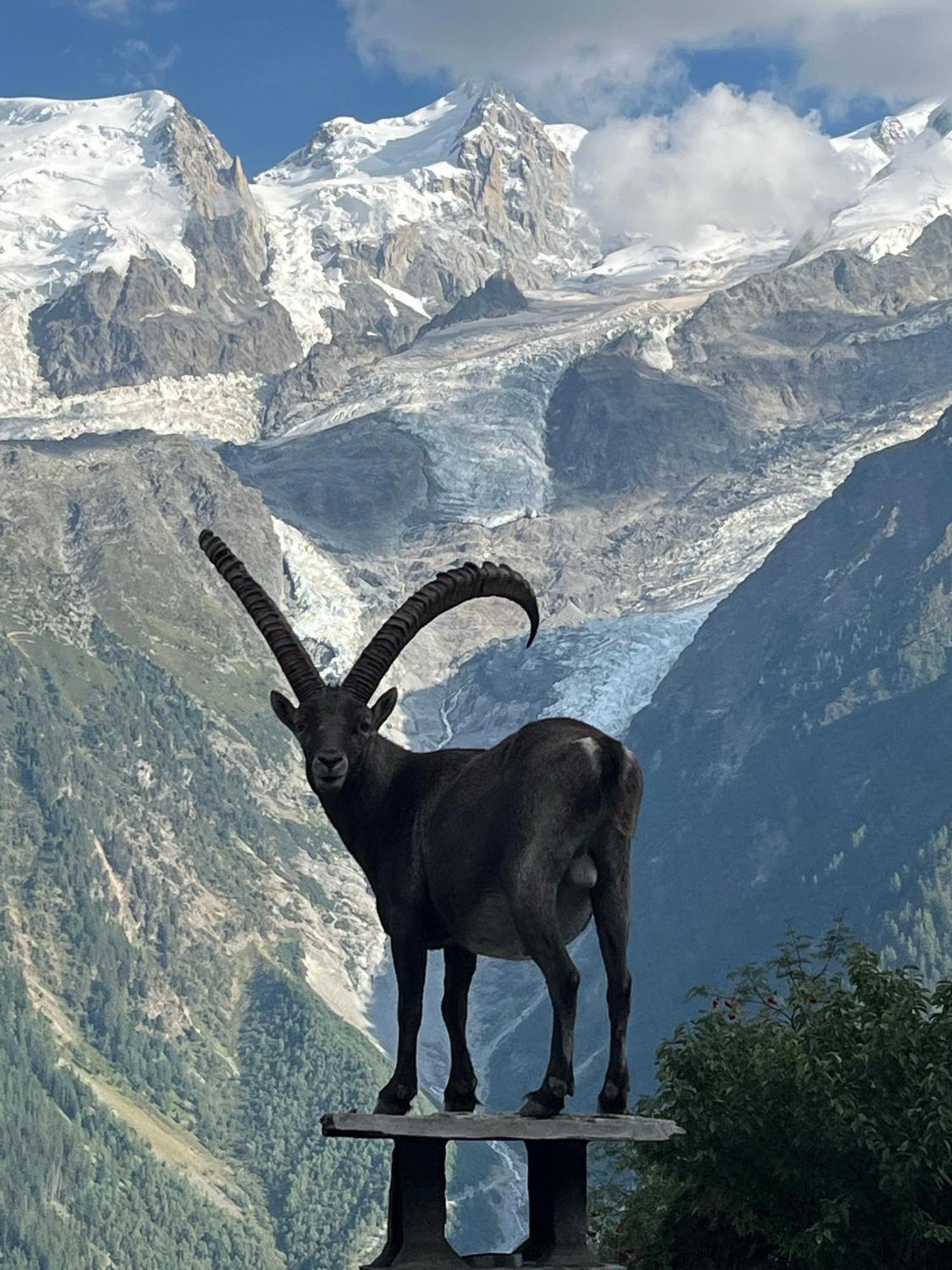 Tiki - Hot Tub & Sauna Chamonix Mont Blanc